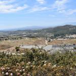 DSC_0119_00108 (June 24, 2023)